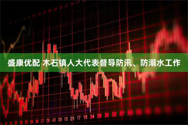 盛康优配 木石镇人大代表督导防汛、防溺水工作