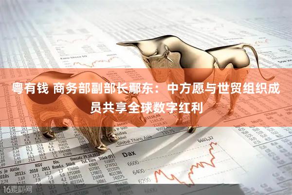 粤有钱 商务部副部长鄢东：中方愿与世贸组织成员共享全球数字红利