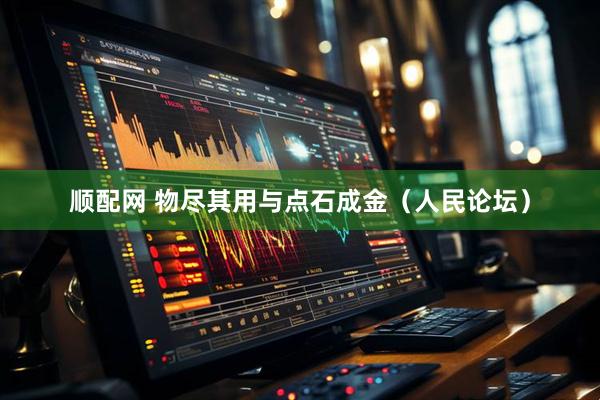 顺配网 物尽其用与点石成金（人民论坛）