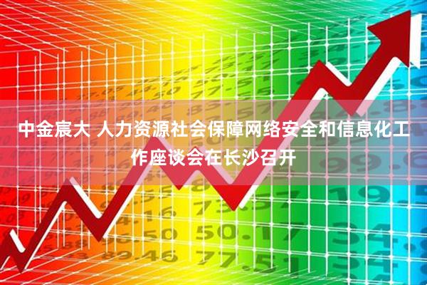中金宸大 人力资源社会保障网络安全和信息化工作座谈会在长沙召开